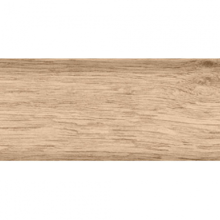 дуб беленый