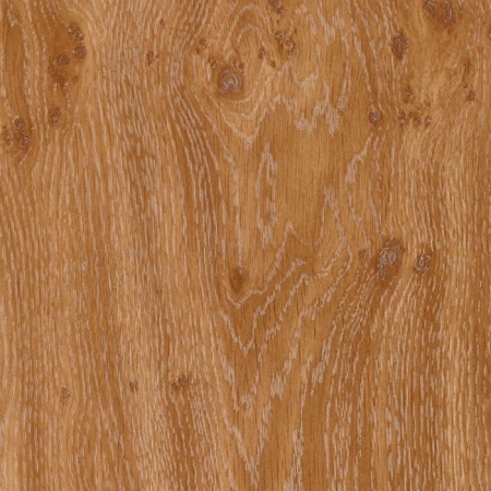 w908-dub-suchkovatyy-temnyy