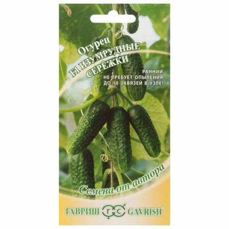 orig - 2026-02-05T162646.660