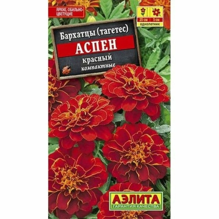 orig - 2026-02-05T164930.129