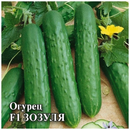 orig - 2026-02-05T162037.958