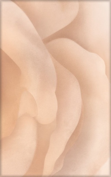 ivb-YJK_bCfCJMeN2stHHKWWeREOXGhZStnAp-5-WlIQ0wDldhqHraPrcYq4LAJXmdn_hrQOasvb4lLYLE-EVsSp