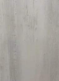 дуб арктик