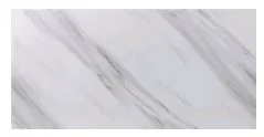 101